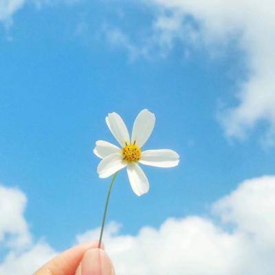 722cc大发彩神下载手机版截图