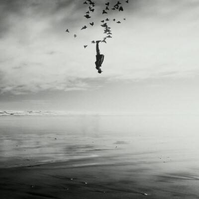 半岛(中国)体育