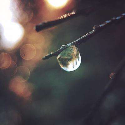 彩神app下载-登录入口