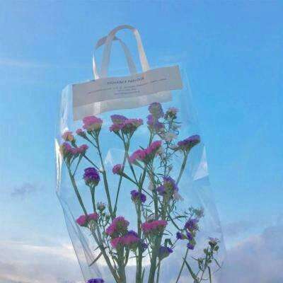 星空体育2024下载